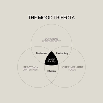 A cover of "human" cluster. The owner is agustinatesio. The cluster consists of 132 elements.