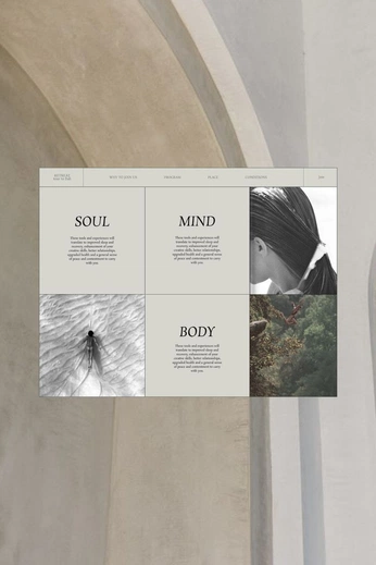 A cover of "Website Design" cluster. The owner is fwrdmade. The cluster consists of 2 elements.