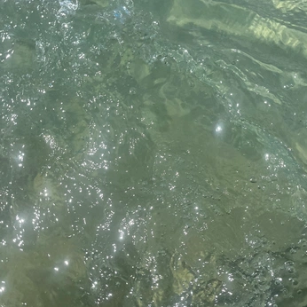 A cover of "riomar road" cluster. The owner is sandrak. The cluster consists of 40 elements.