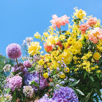 A cover of "Blümen" cluster. The owner is rbertani. The cluster description is "Flowers". The cluster consists of 46 elements.