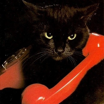 A cover of "Color" cluster. The owner is notian. The cluster consists of 48 elements.