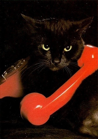 A cover of "✨ Aesthetic" cluster. The owner is hypercryptic. The cluster consists of 37 elements.