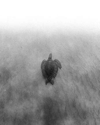 A cover of "test" cluster. The owner is lastation.prod. The cluster consists of 10 elements.