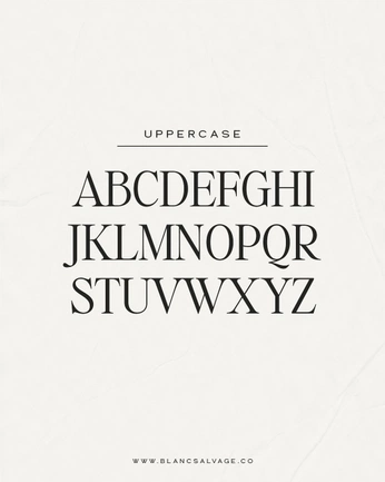 A cover of "FONTastic" cluster. The owner is mikkohchen. The cluster consists of 9 elements.