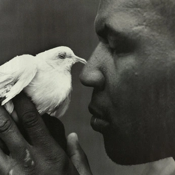 A cover of "portrait" cluster. The owner is yeni01. The cluster consists of 16 elements.