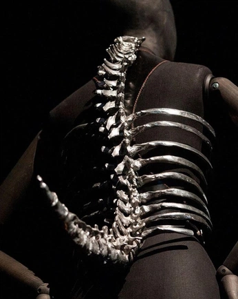 A cover of "bonesfashion" cluster. The owner is snailmonster. The cluster consists of 1 element.