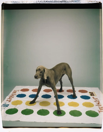 A cover of ":)" cluster. The owner is joaoj. The cluster consists of 16 elements.