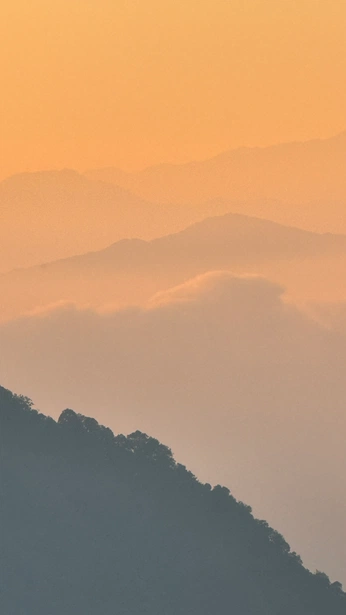 A cover of "skyslut" cluster. The owner is norschach. The cluster consists of 2 elements.