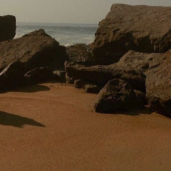 A cover of "fawn ▸" cluster. The owner is dmc. The cluster consists of 4 elements.