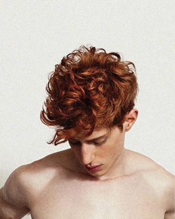 A cover of "GINGER" cluster. The owner is ginger. The cluster consists of 10 elements.