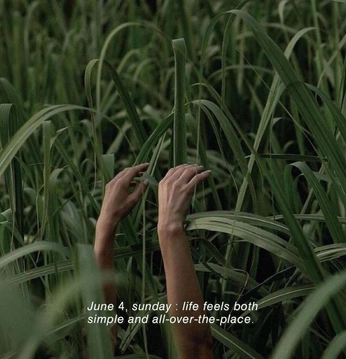 A cover of "nature" cluster. The owner is sznovajt. The cluster consists of 41 elements.