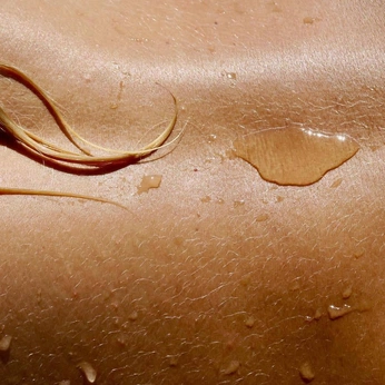 A cover of "SUMMER/SPRING VIBES" cluster. The owner is noone. The cluster description is "The never ending summer". The cluster consists of 63 elements.