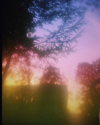 A cover of "Thoughts..." cluster. The owner is wiggli. The cluster consists of 4 elements.