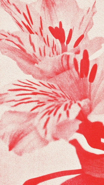 A cover of "floral" cluster. The owner is yaelloves. The cluster consists of 23 elements.