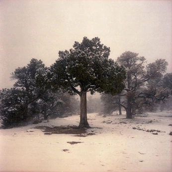 A cover of "Dracula" cluster. The owner is raeuhhh. The cluster consists of 20 elements.