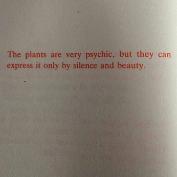 A cover of "Radiant Space" cluster. The owner is rachpom. The cluster consists of 3 elements.