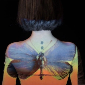 A cover of "T&C" cluster. The owner is paurvlo. The cluster consists of 625 elements.