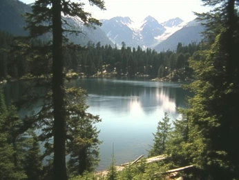 A cover of "+Washington state+" cluster. The owner is minknr. The cluster consists of 18 elements.