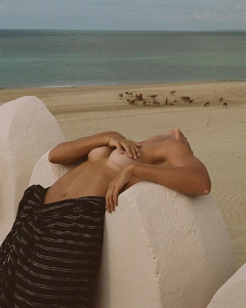 A cover of "orquídea caliente" cluster. The owner is valemcrt. The cluster consists of 111 elements.