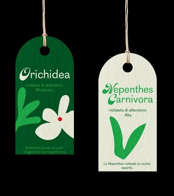 A cover of "Orchidea" cluster. The owner is fkrisss. The cluster consists of 31 elements.