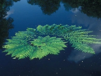 A cover of "Light & Spirals" cluster. The owner is nsmyth. The cluster consists of 64 elements.