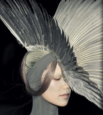 A cover of "cagoule" cluster. The owner is anais1702. The cluster consists of 43 elements.