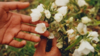 A cover of "UNIT 4" cluster. The owner is bibi.q. The cluster consists of 7 elements.