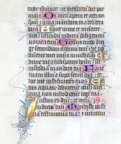 Medieval future (@stephanierae) / Cosmos