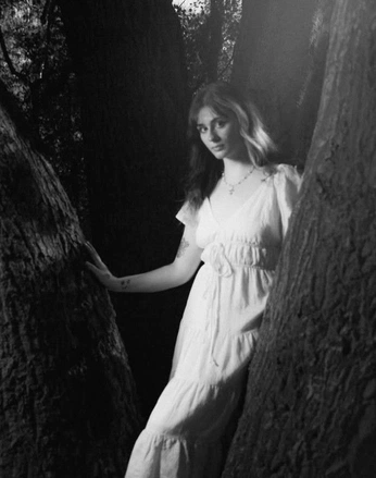 A cover of "Bowie (Baby Bugs)" cluster. The owner is scarletquinn. The cluster description is "model is 18+". The cluster consists of 133 elements.