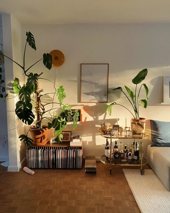 A cover of "apartment" cluster. The owner is jerichohouse. The cluster consists of 16 elements.