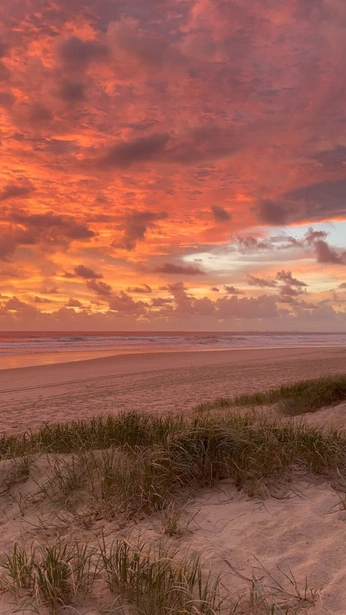 A cover of "Red" cluster. The owner is jespertimmer. The cluster consists of 2 elements.