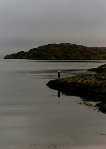 A cover of "nature" cluster. The owner is leonard. The cluster consists of 26 elements.