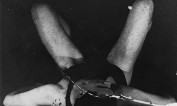 A cover of "swan" cluster. The owner is bluepearl. The cluster consists of 27 elements.