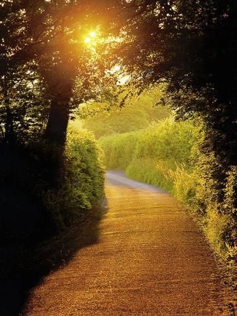 A cover of "Road" cluster. The owner is tamardror. The cluster consists of 10 elements.