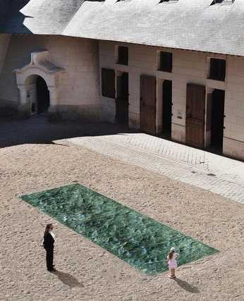 A cover of "Nature" cluster. The owner is agrasshopper. The cluster consists of 5 elements.