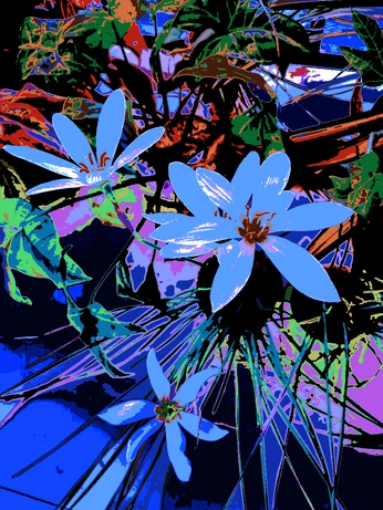 A cover of "creating" cluster. The owner is koalasdraw. The cluster consists of 1 element.