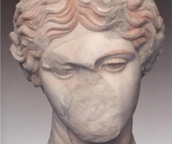 A cover of "Sidra" cluster. The owner is savvygravi. The cluster consists of 51 elements.