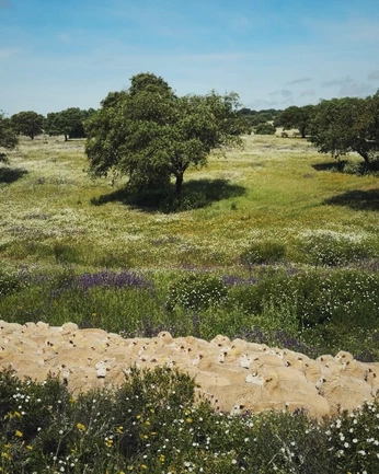 A cover of "erthuga" cluster. The owner is michaelschauer. The cluster consists of 15 elements.