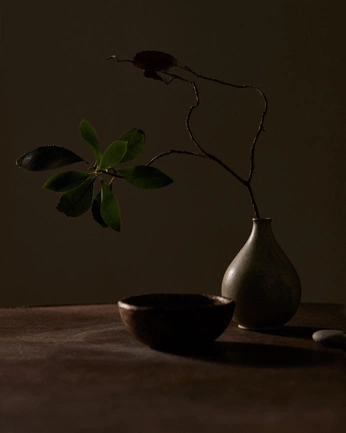 A cover of "Still life" cluster. The owner is d5500. The cluster consists of 15 elements.