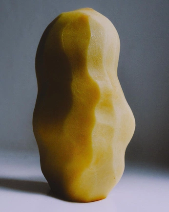 A cover of "true roots" cluster. The owner is milou. The cluster consists of 10 elements.