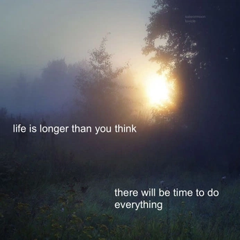 A cover of "Quotes" cluster. The owner is aamink. The cluster consists of 6 elements.