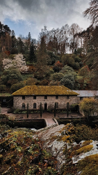 A cover of "Mine <3" cluster. The owner is gh0stx. The cluster consists of 1 element.