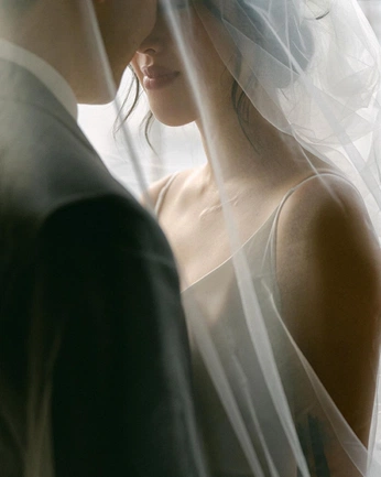 A cover of "bridal" cluster. The owner is dddrrr. The cluster consists of 41 elements.