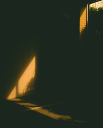 A cover of "parcours moodboard" cluster. The owner is fabienneschira. The cluster consists of 47 elements.