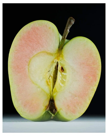 A cover of "Nature" cluster. The owner is gabrielle02. The cluster consists of 16 elements.