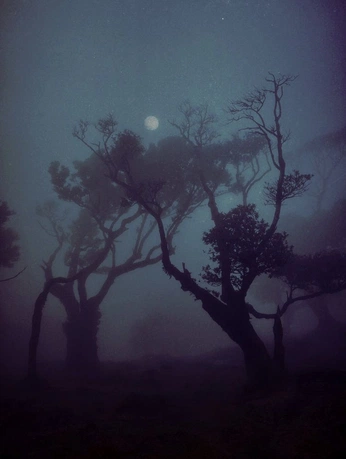 A cover of "Gotic-dark" cluster. The owner is eromangobl. The cluster consists of 5 elements.