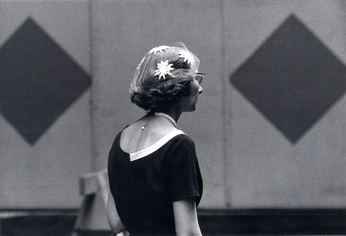 A cover of "Photography" cluster. The owner is thomastange. The cluster consists of 54 elements.