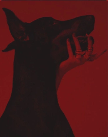 A cover of "Handsy" cluster. The owner is bellezaentodo. The cluster consists of 16 elements.