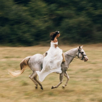 A cover of "On Horse" cluster. The owner is bferreiraphoto. The cluster consists of 30 elements.