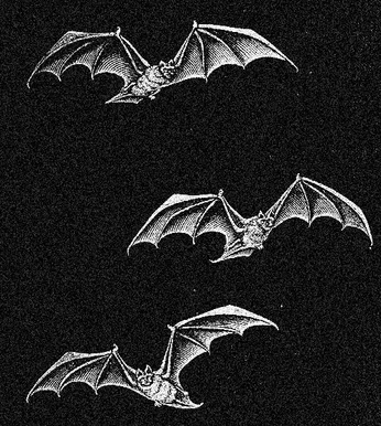 A cover of "RECIPE" cluster. The owner is marsvison. The cluster consists of 95 elements.